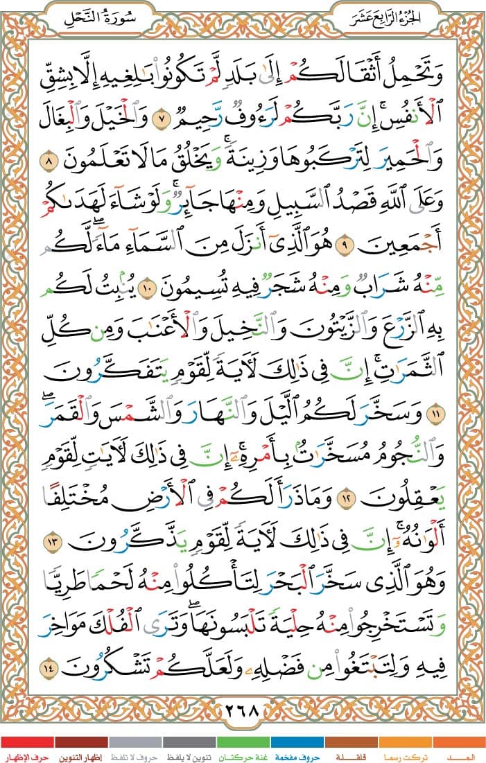 quran page